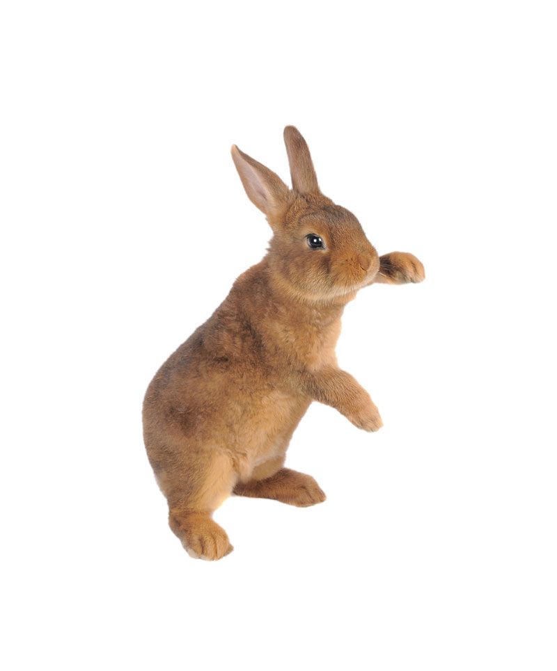 imgonline-com-ua-dexifpw6COJgquAnV