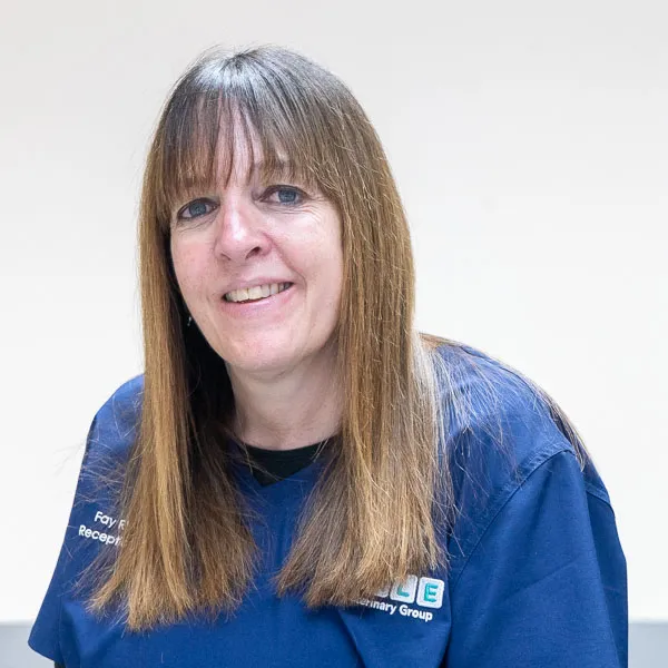 Fay Footner - Hale (Web)